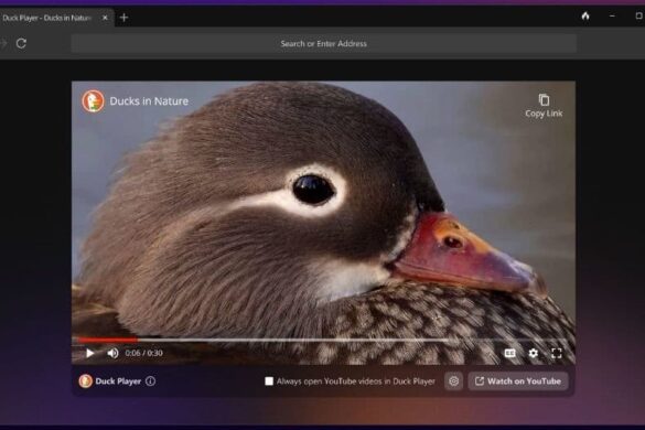 Выпущена открытая бета-версия браузера DuckDuckGo на Windows