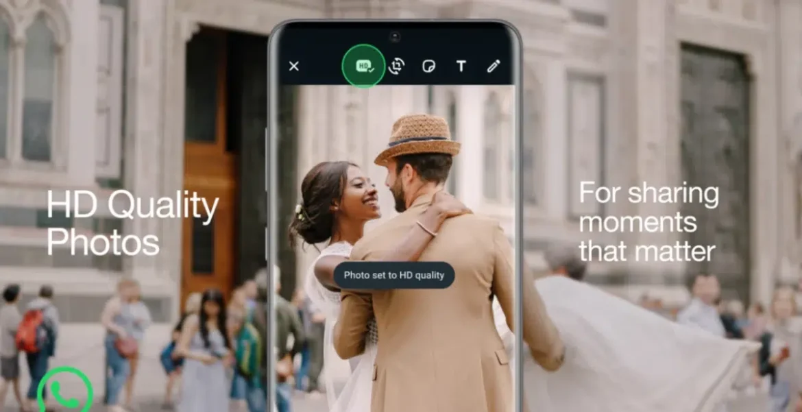 WhatsApp | TrashExpertru WhatsApp