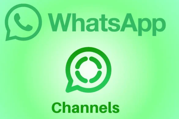 Канал в WhatsApp сможет создать любой желающий