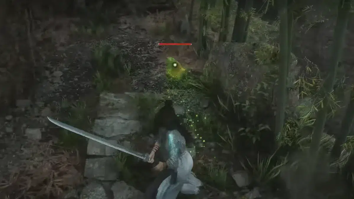 Местоположение побега бамбука № Местоположение побега бамбука №