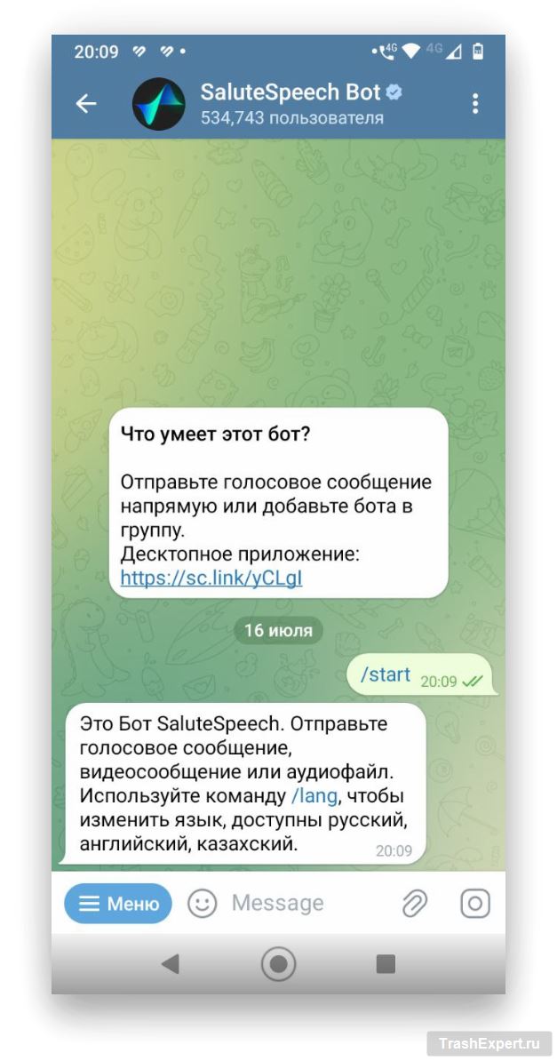 SaluteSpeech Bot