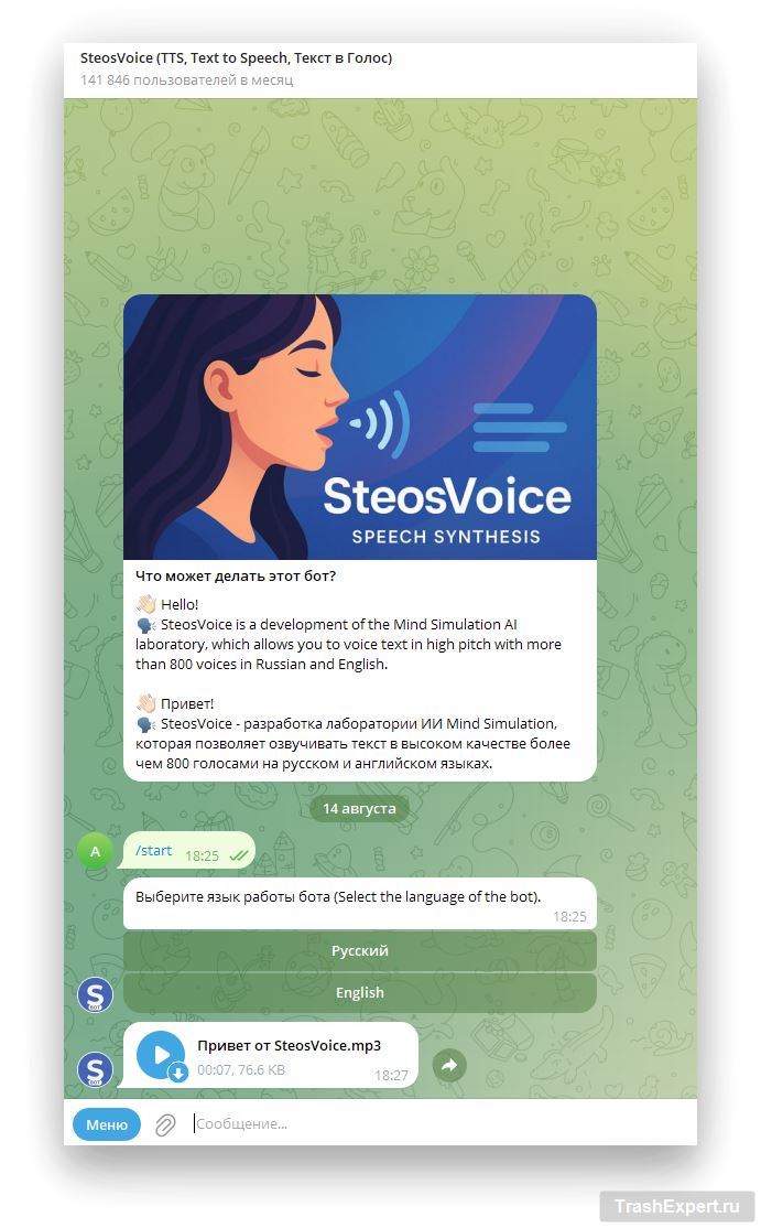 SteosVoice