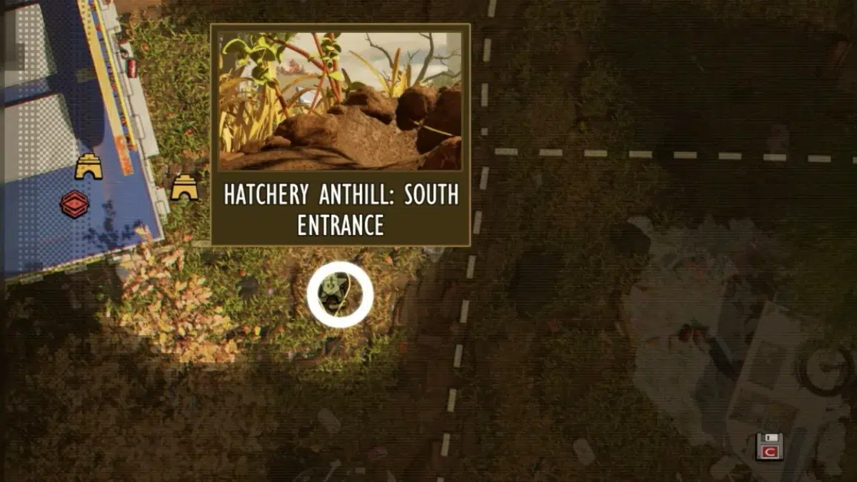 Местоположение яйца муравья солдата в Grounded 