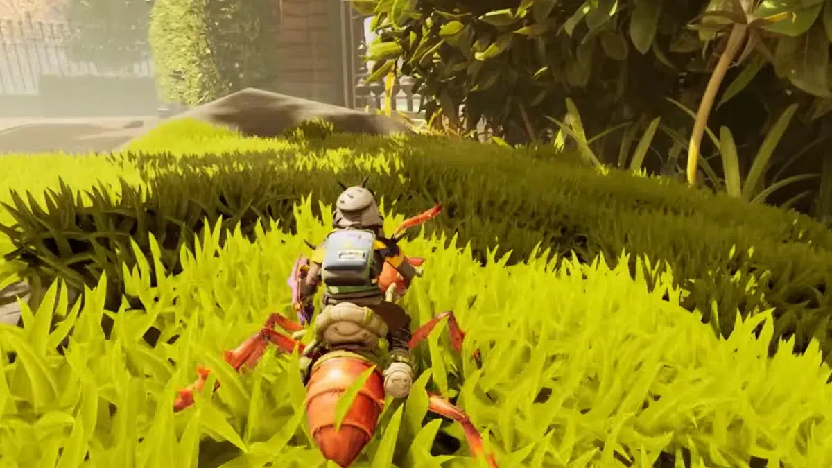 Вторая локация для исследования каменистая местность с травой прямо напротив дуба Вторая локация для исследования каменистая местность с травой прямо напротив дуба