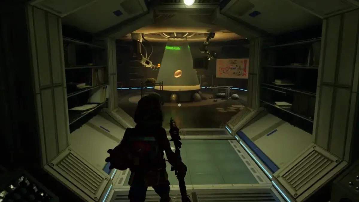 Сбор яйца муравья