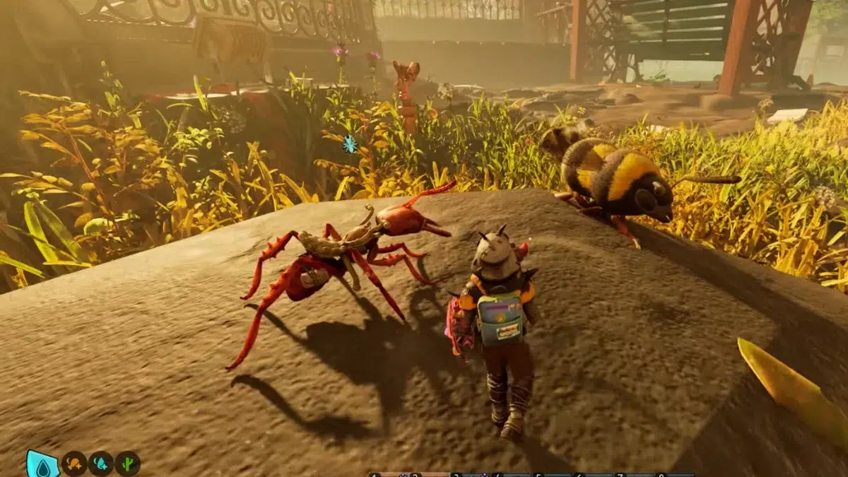 Церемония Церемония