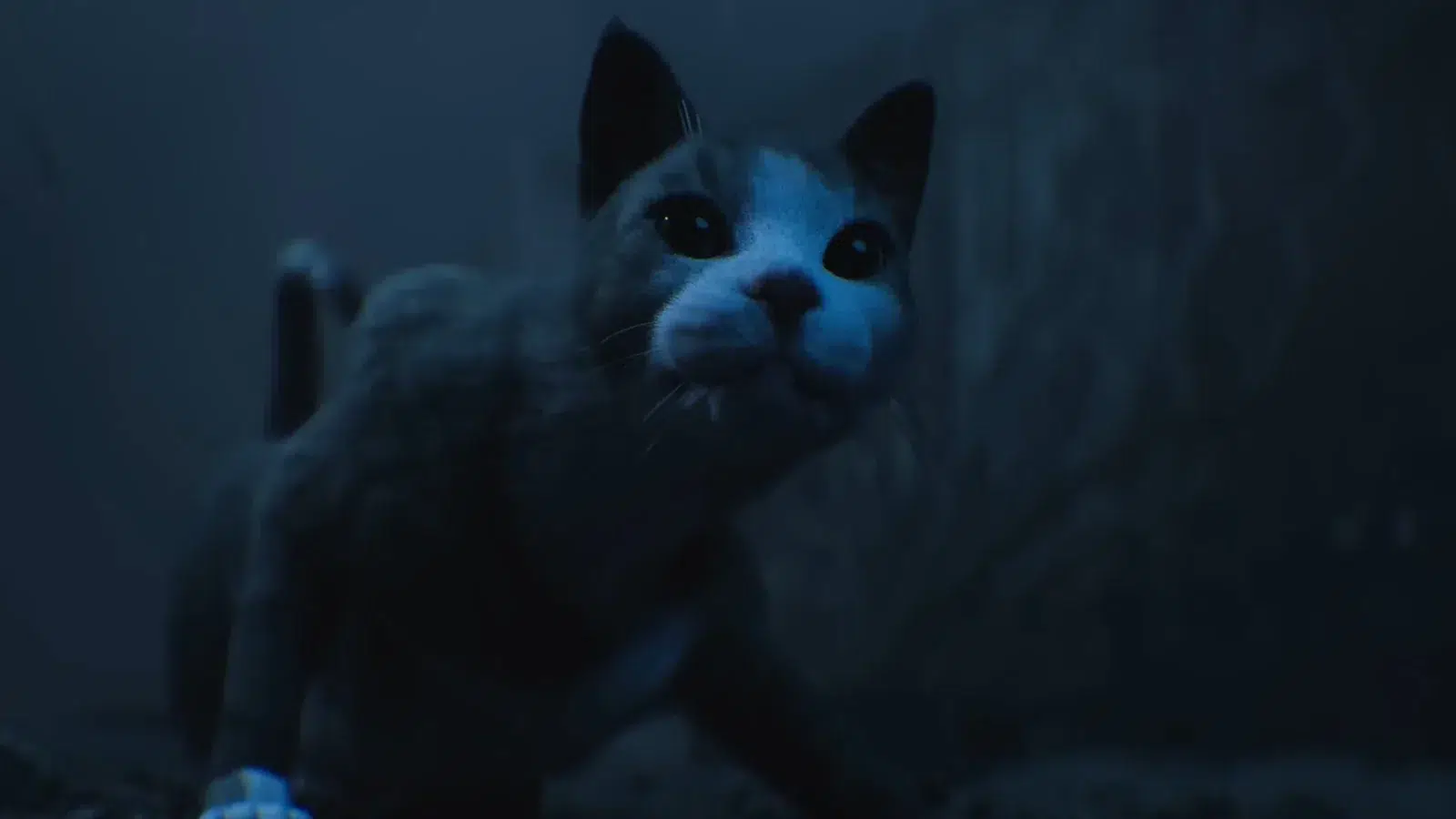 Все кошки в Cronos The New Dawn и их награды