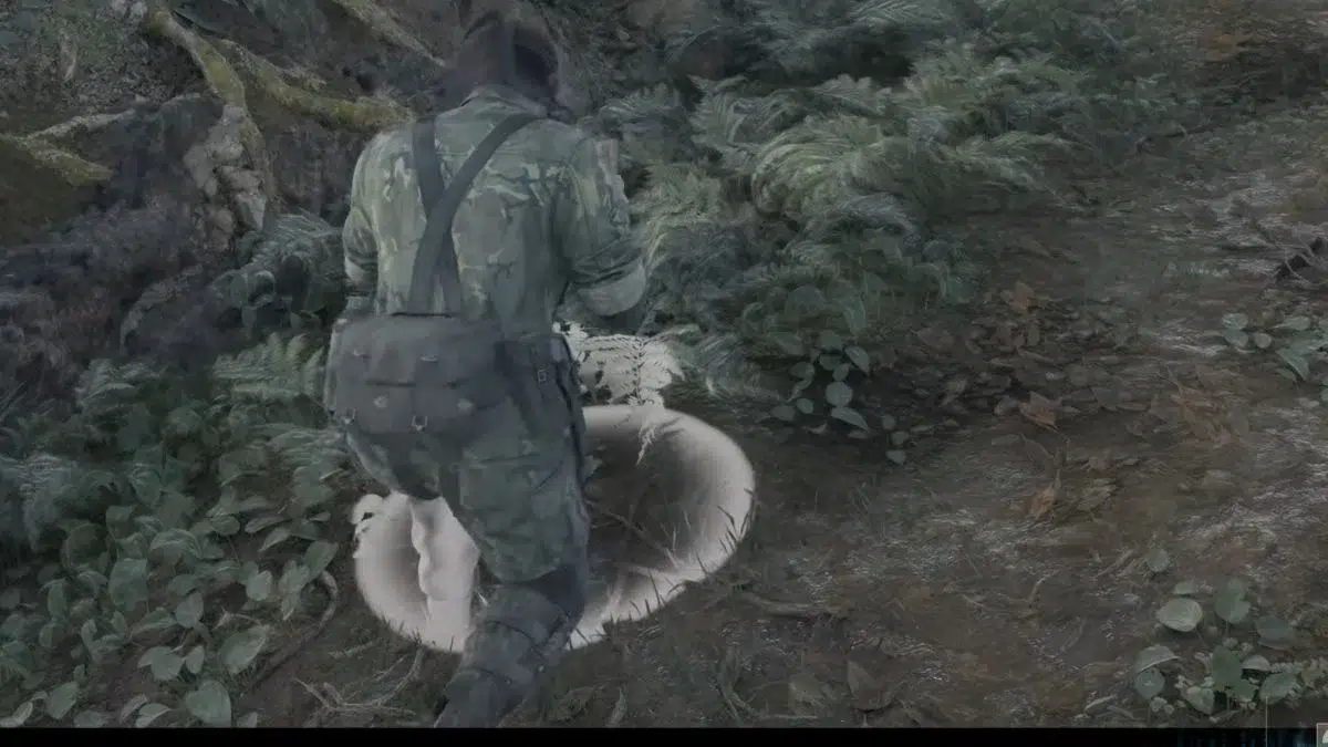 Поимка Цутинохо в Гранины Горки Юг Поимка Цутинохо в Гранины Горки Юг