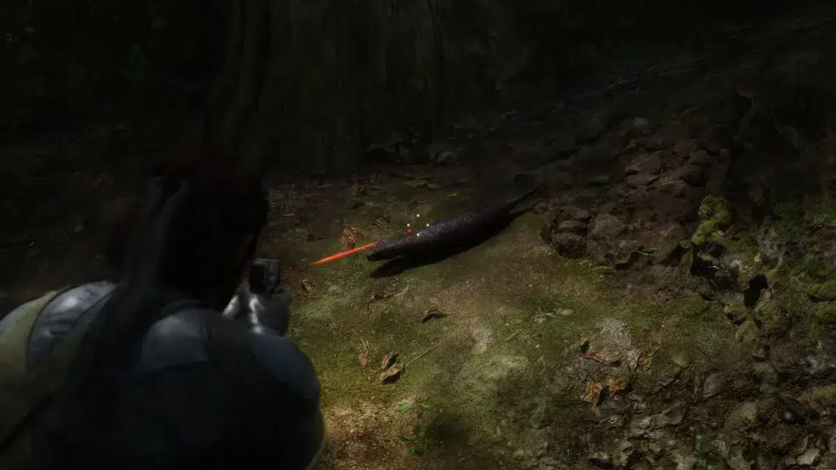 Поимка Цутинохо в Тихогорный Поимка Цутинохо в Тихогорный