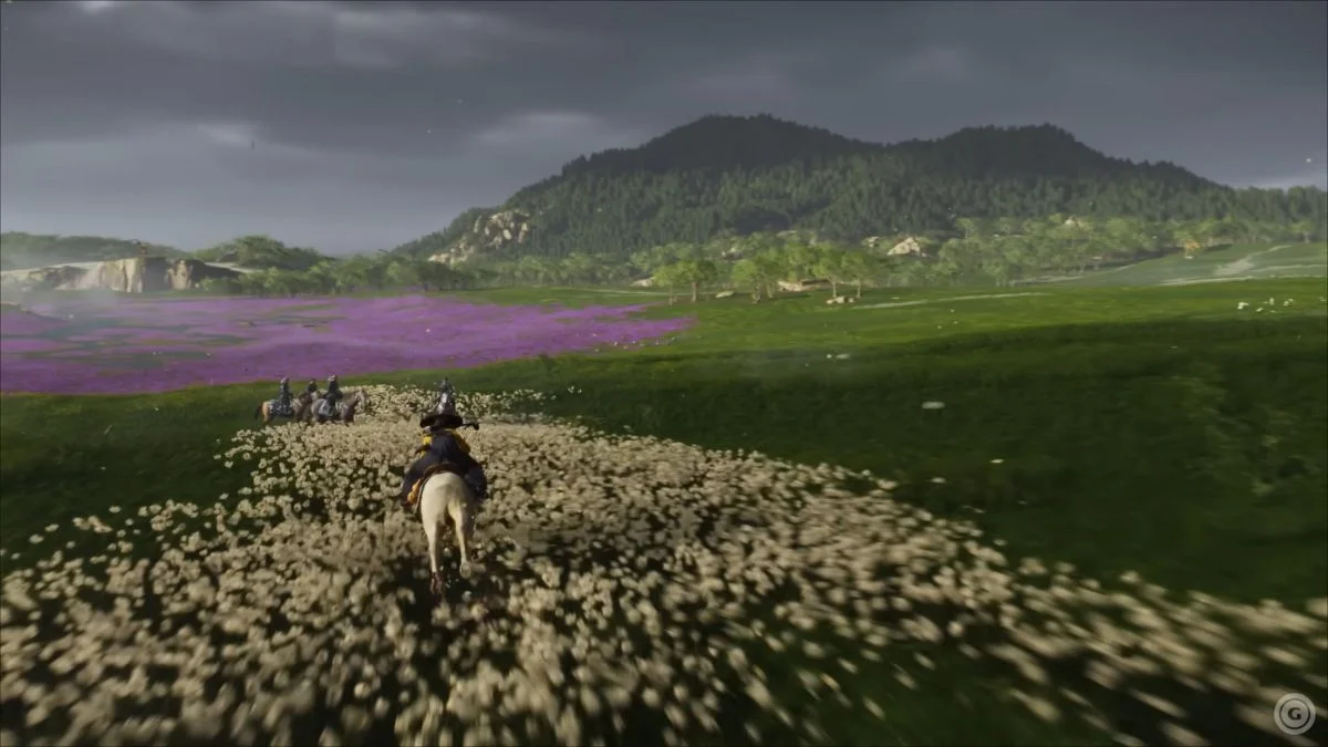 Лучшие места для поиска ронинов Лучшие места для поиска ронинов