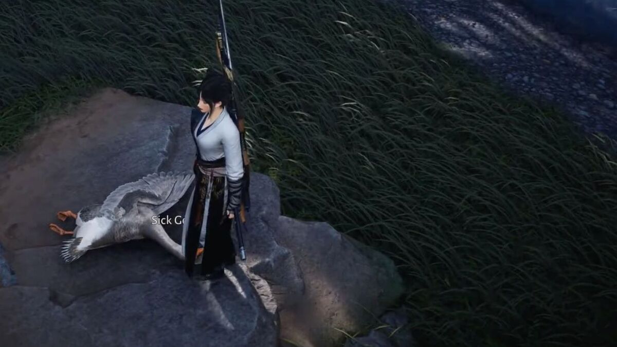 Лечить или не лечить пошаговое руководство в Where Winds Meet