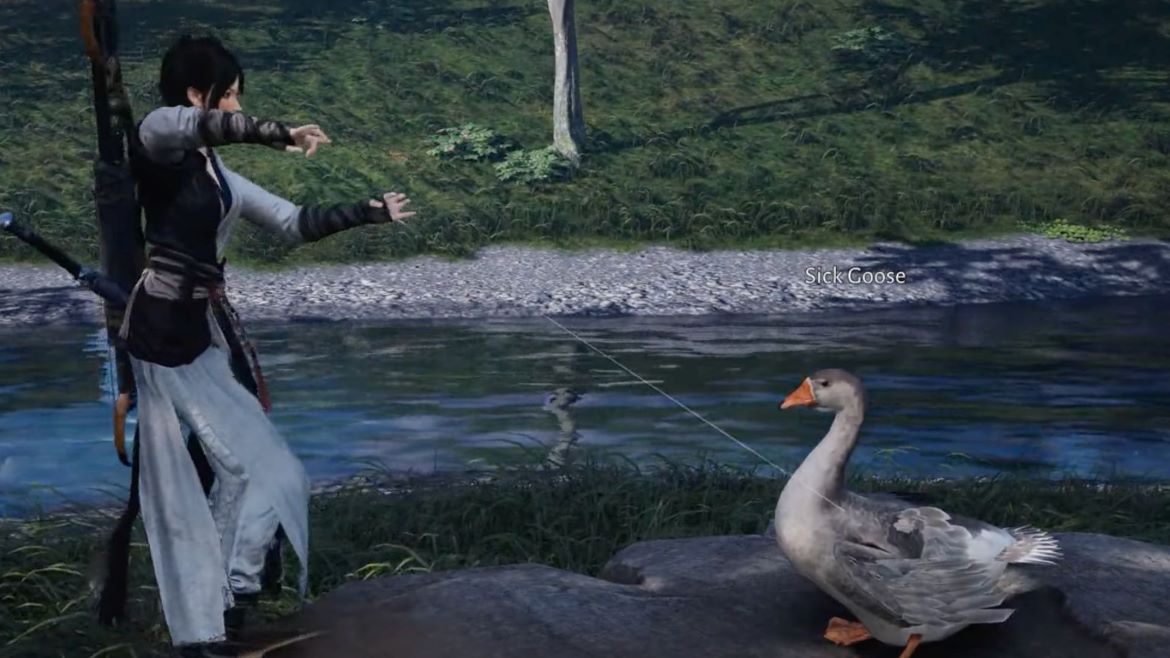 Лечите гуся с помощью блокнотов и подарочных наборов Целителя