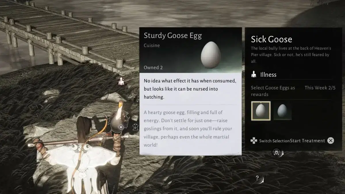 Получение гусиного яйца