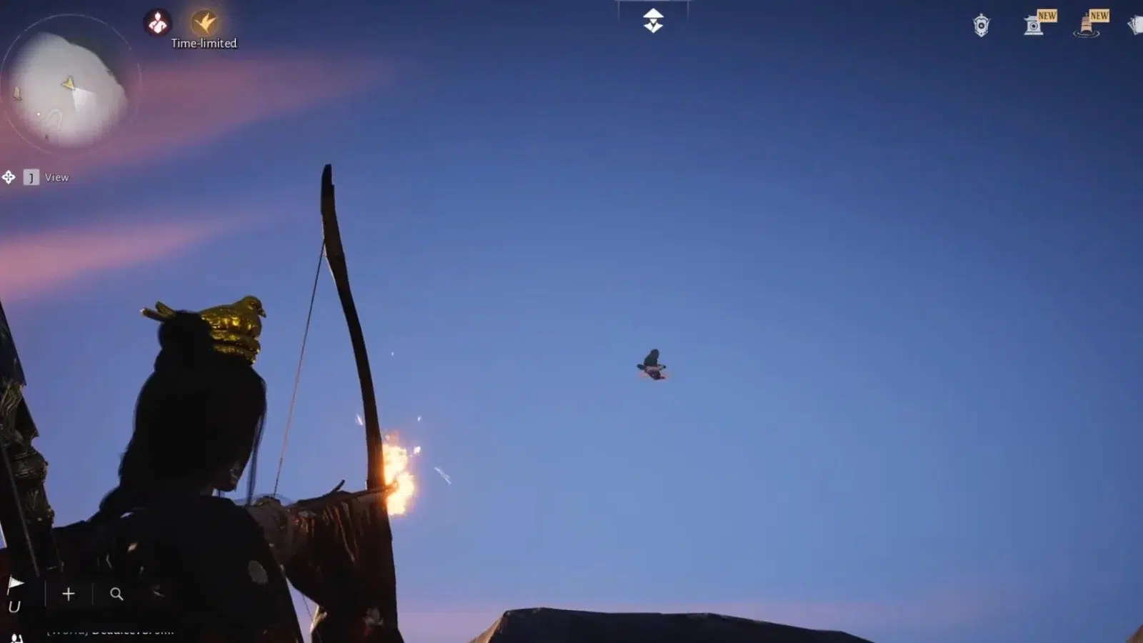 Достигнув вершины осмотрите небо на наличие птиц