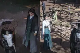 Where Winds Meet – Лекарство, предписанное любовью: странствующая история