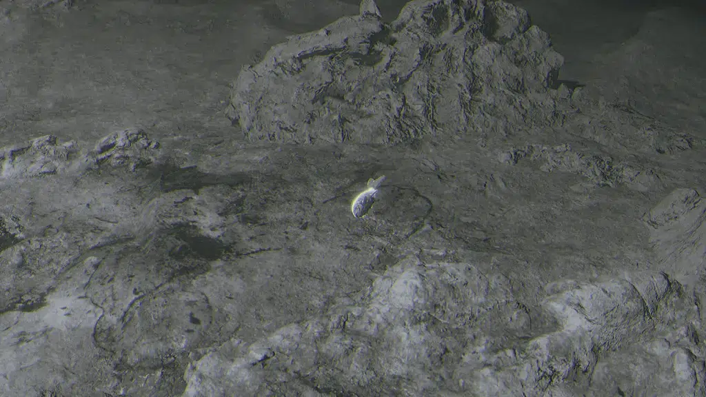 Посмотрите на землю чтобы заметить Белую Рыбу бьющую хвостом