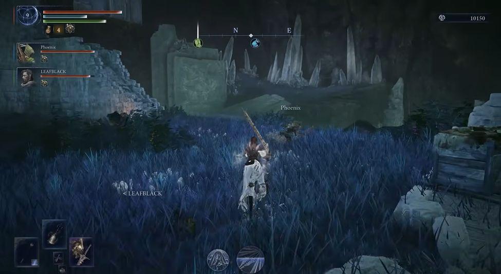 Кровотечение Яд и Алая Гниль лучший выбор