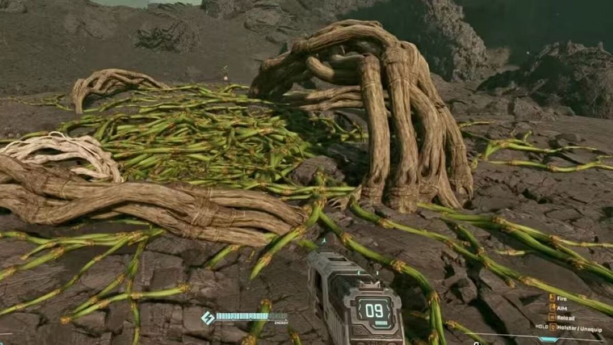 Как попасть в подземные пещеры в StarRupture