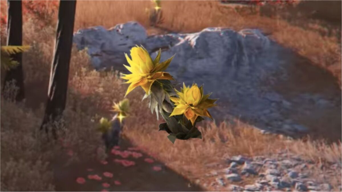 Как найти и вырастить песчаник в Arknights Endfield