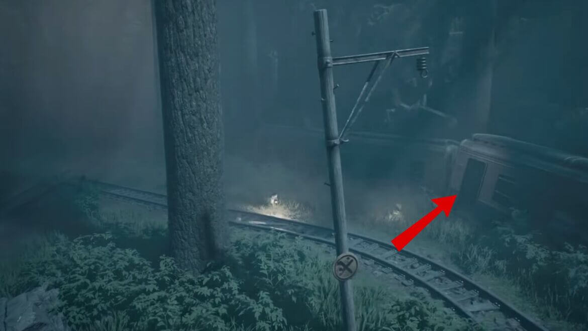 Войдите в этот поезд