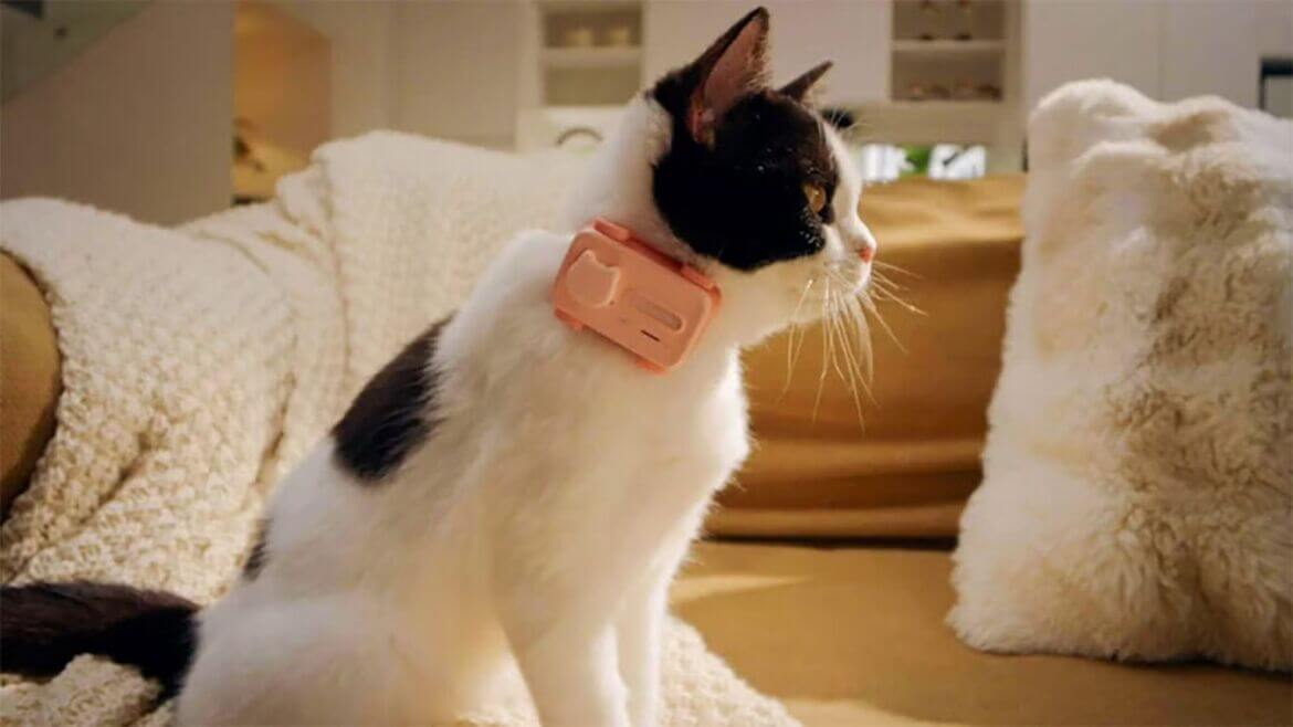 PetPhone