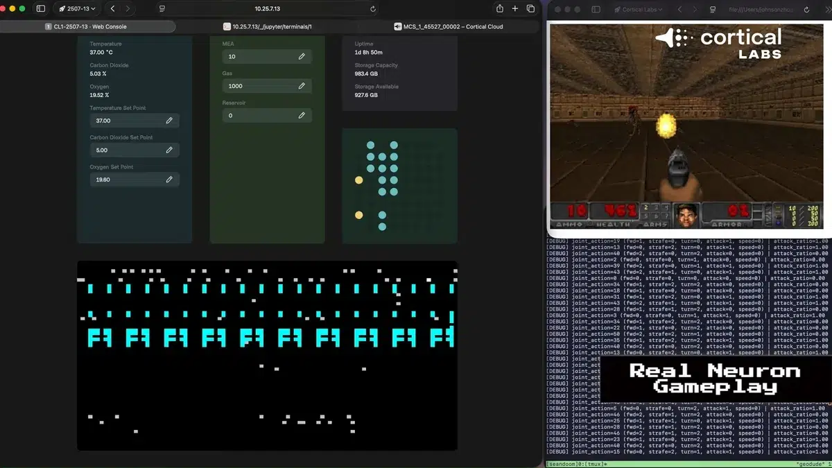Изображение к статье: Cortical Labs показала, как 200 000 нейронов играют в Doom