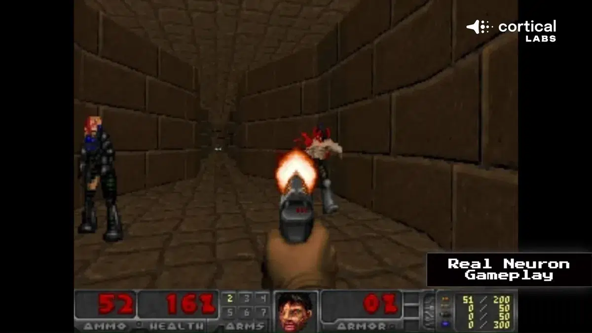 Изображение к статье: Cortical Labs показала, как 200 000 нейронов играют в Doom