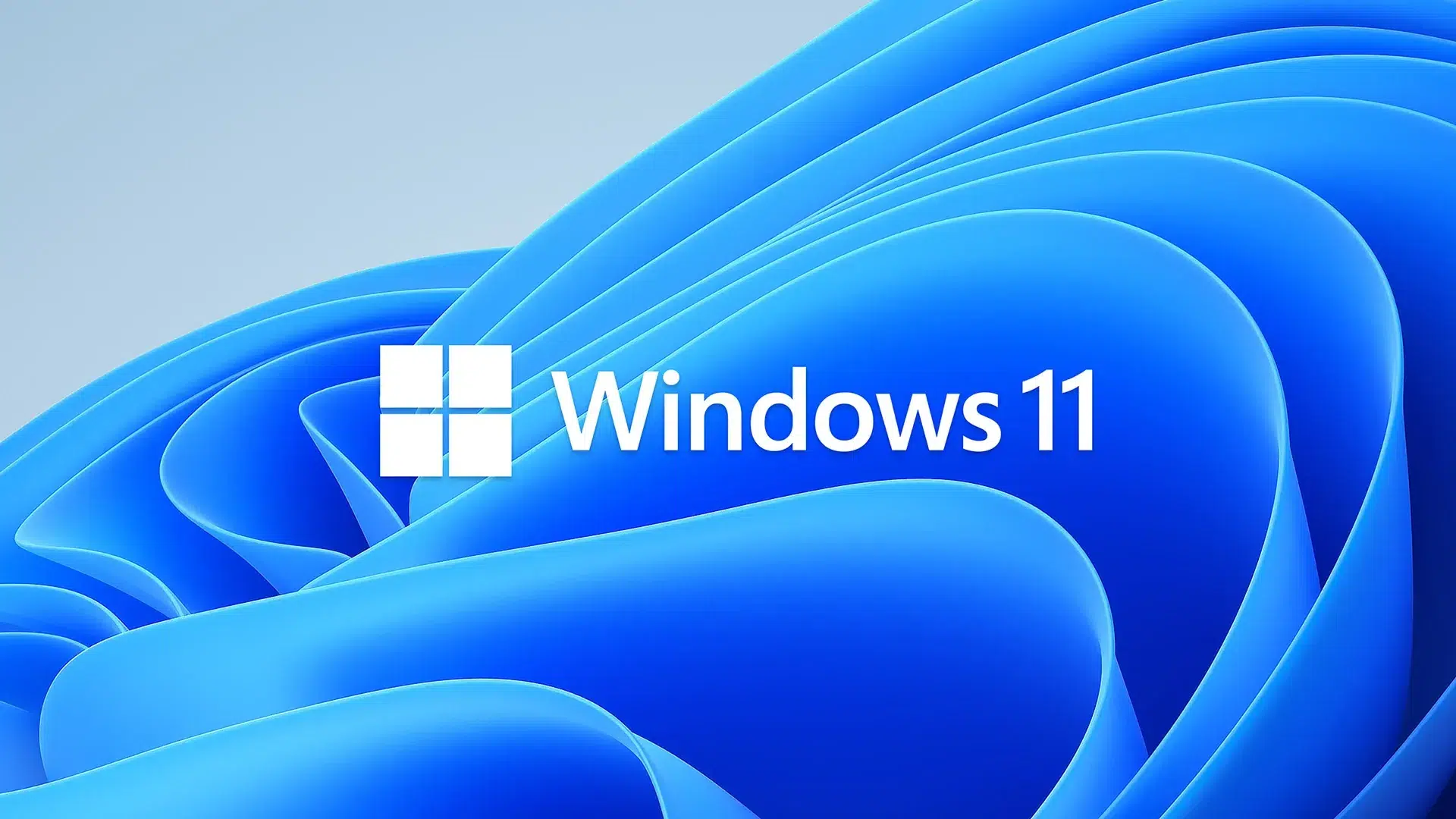 Windows 11 заняла 7278 рынка Windows 10 упала до 2627