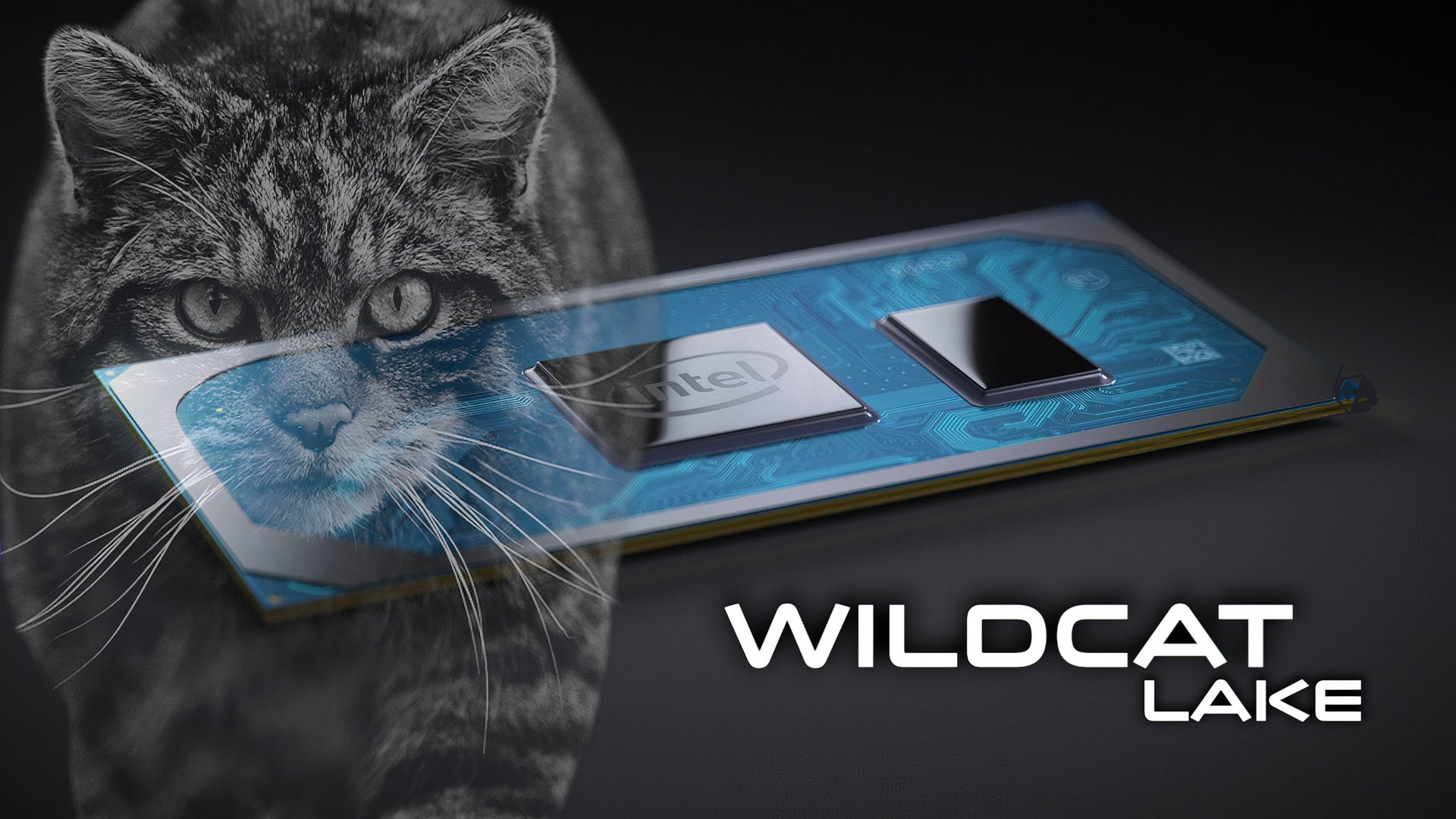 Утечка по Intel Wildcat Lake 15 Вт буст до 15 ГГц и 6 МБ L3