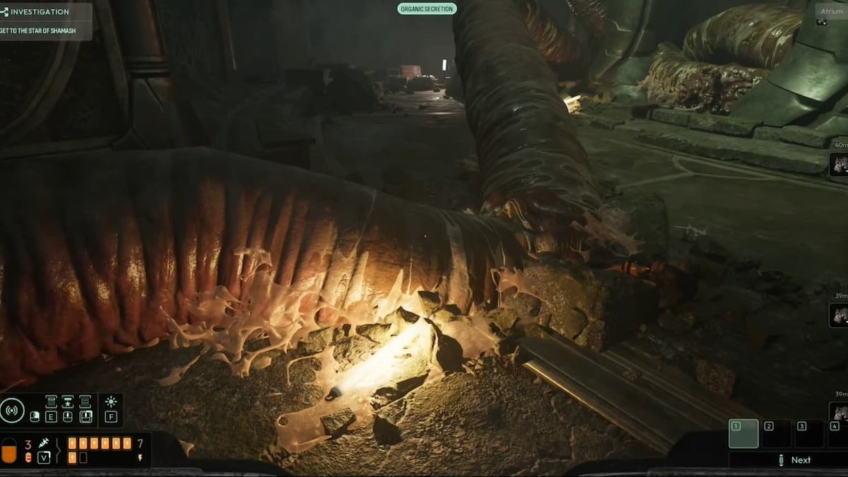 Вы увидите небольшой лагерь Ocean I