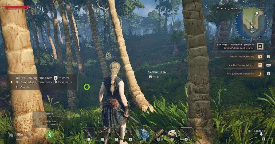 Используйте кокосы как еду на первое время