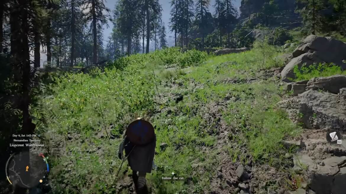 Следуйте за чёрным котом