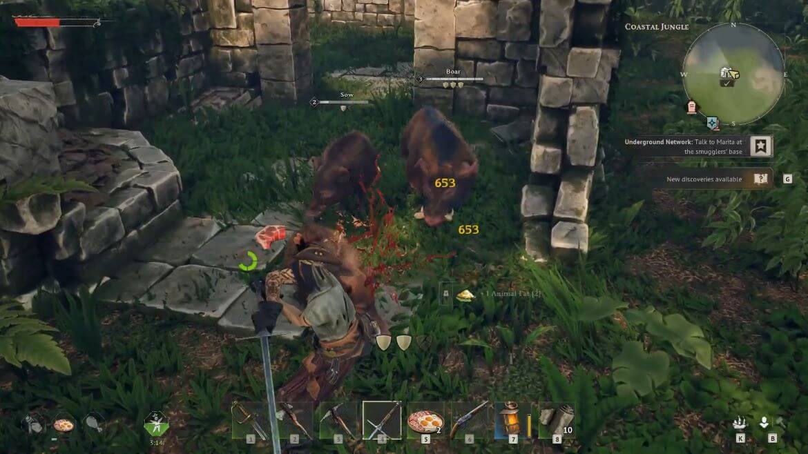 Охота на свиноматок ради грубой шкуры