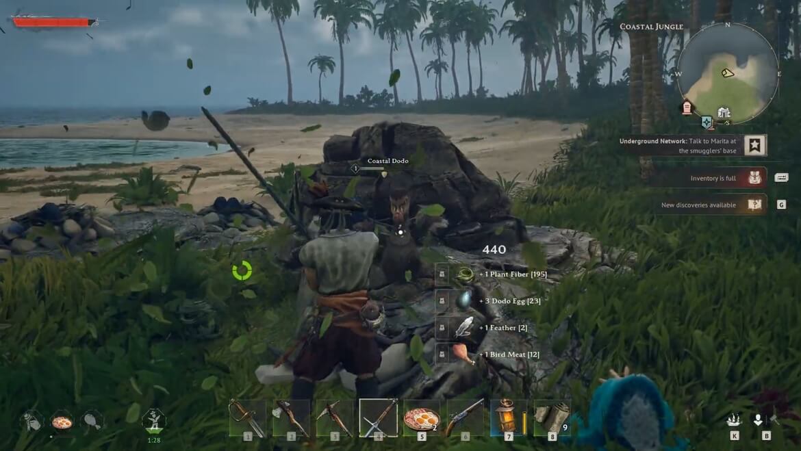 Эффективная охота на прибрежных додо