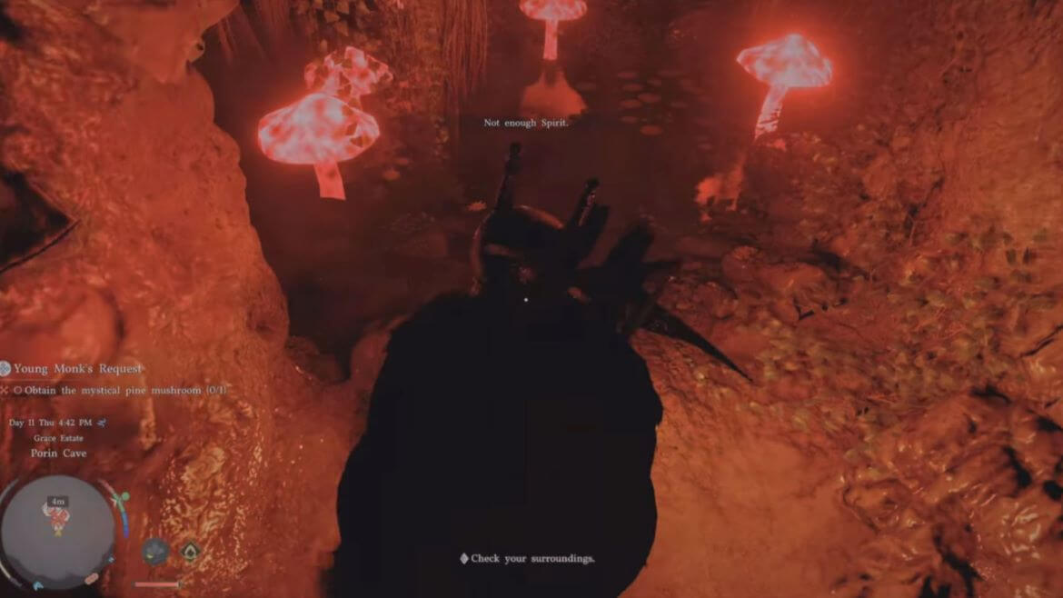 Получение гриба в пещере