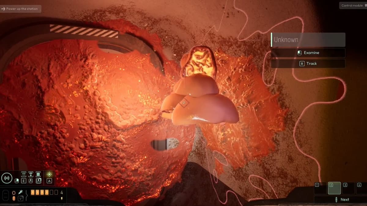 Соберите это растение