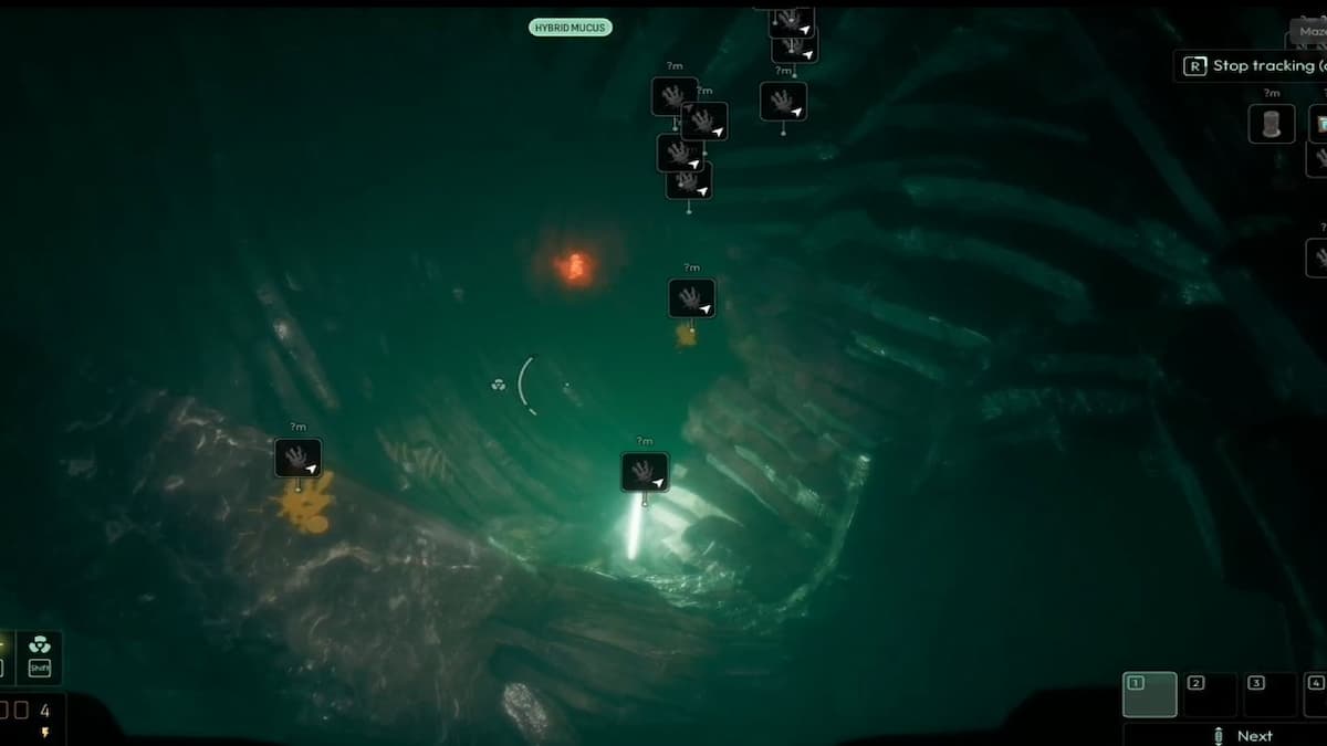 Плывите прямо над отпечатками ног