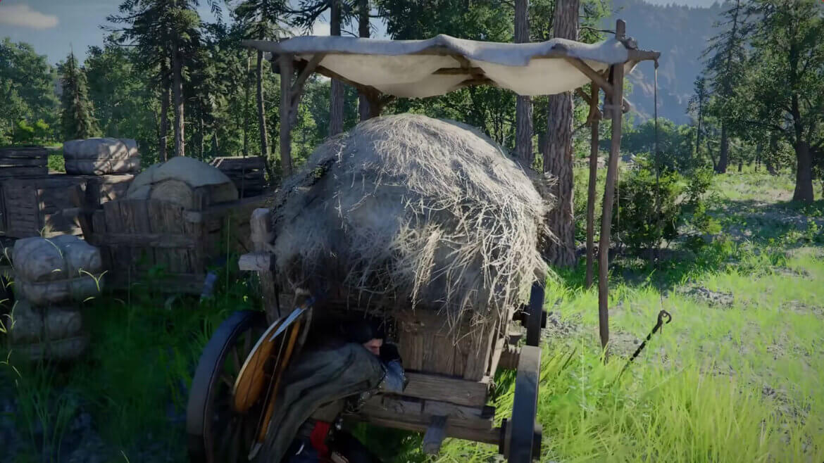 Оставленные без присмотра повозки отличные цели для кражи