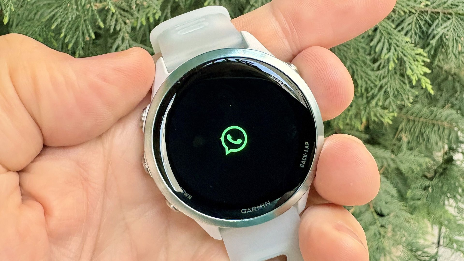 Garmin добавила WhatsApp на часы ответы на сообщения и эмодзи