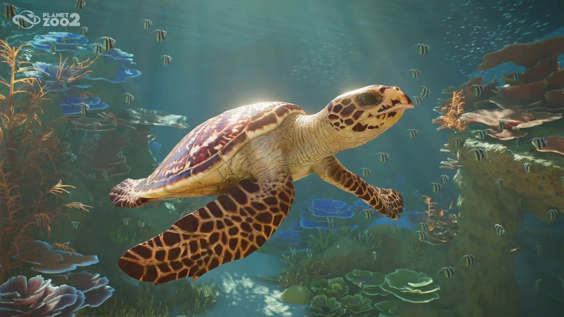 Изображение к статье: Planet Zoo 2 выйдет 13 октября 2026 года: водные и летающие виды