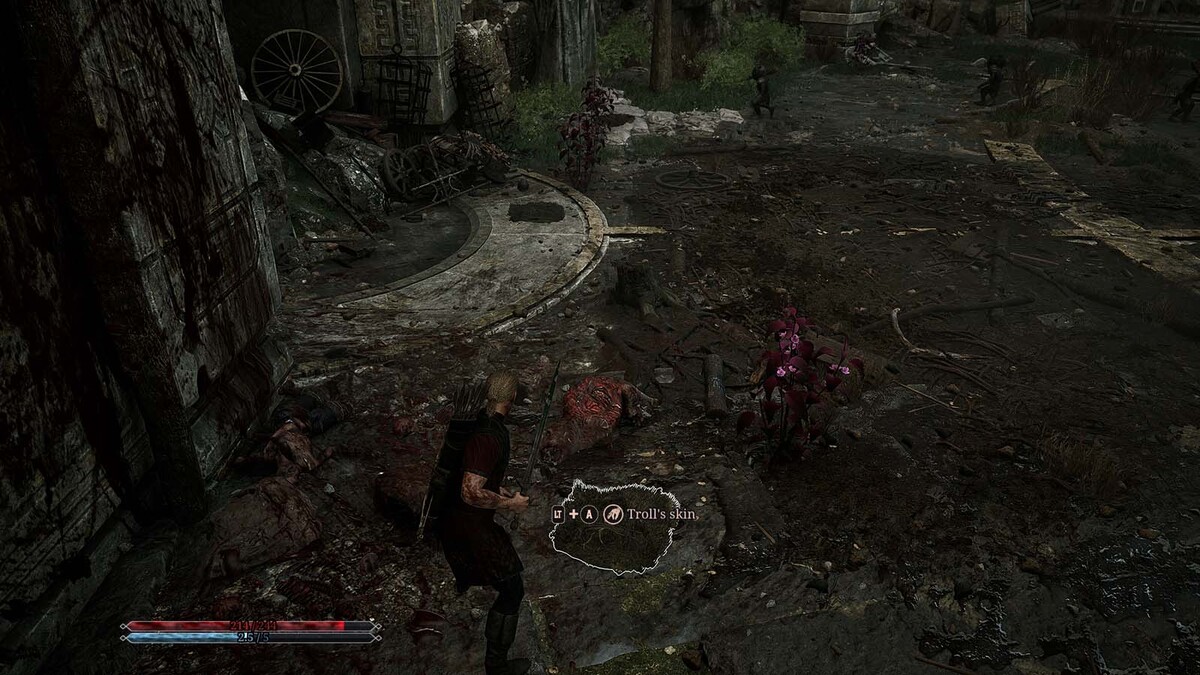 Последний фрагмент шкуры