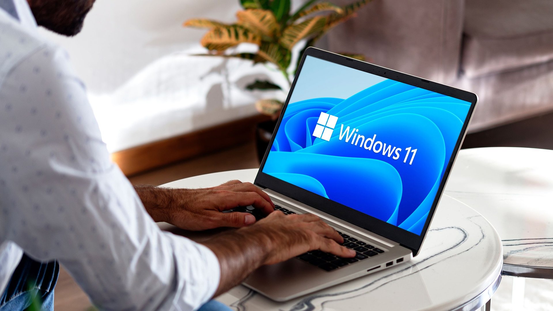 Person typing on a laptop with Windows 11 logo on the screen
