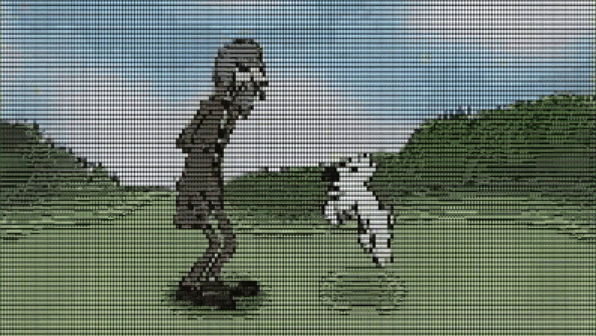 ASCILINE стримит ASCII видео 360p при 30 FPS текстом