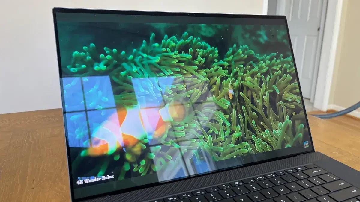Изображение к статье: Патч Windows 11 для Dell может прийти на другие ПК