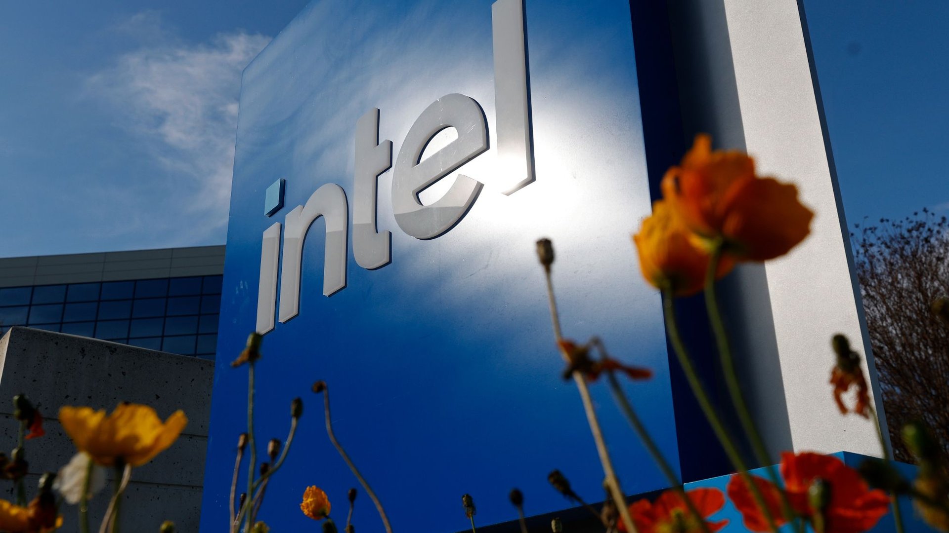 Close up of a blue Intel sign reflecting sunlight with orange flowers in the foreground