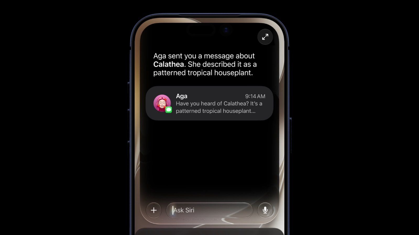 iPhone screen showing a message about Calathea a patterned tropical houseplant with Agas reply in a rounded chat bubble