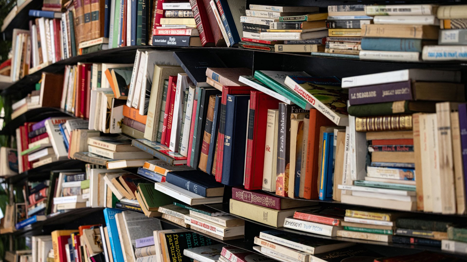 ИИ компании скупают и уничтожают книги для обучения моделей