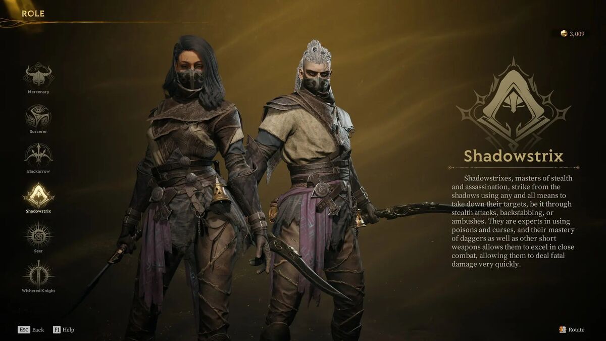 Лучшая сборка на Shadowstrix в Mistfall Hunter