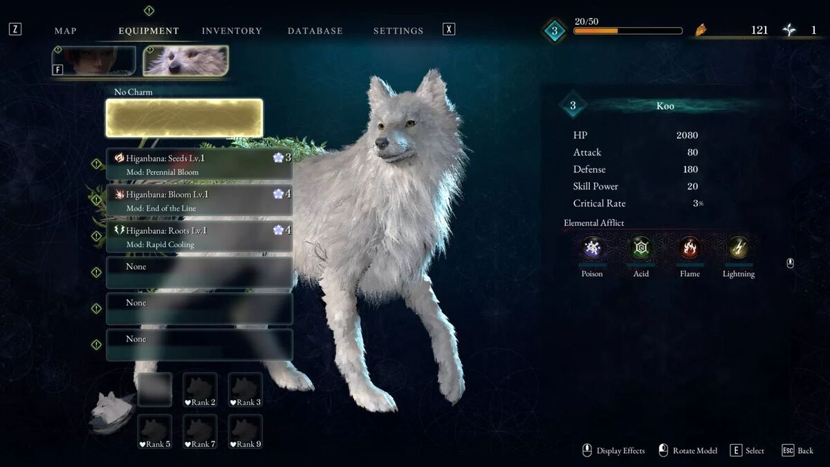Лучшие навыки для Эммы и Ку в Beast of Reincarnation