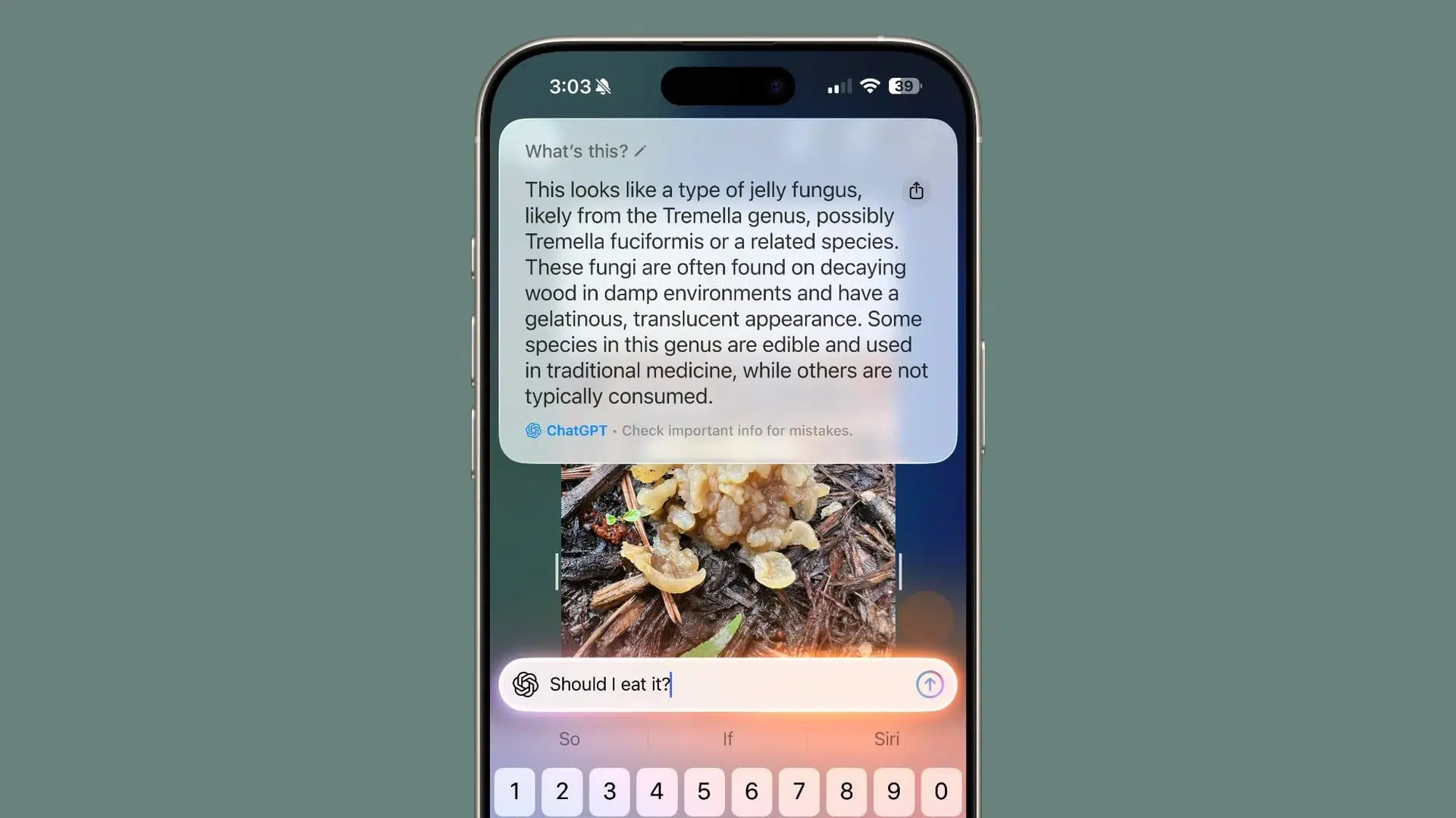 Apple может добавить рекламу в Visual Intelligence в iOS 27